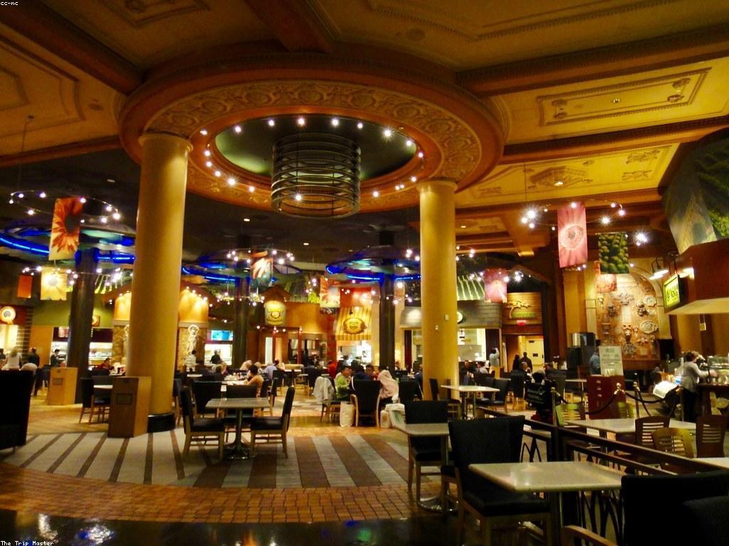 ការយល់ដឹងអំពីដីថែទាំនិងស្ថានភាពកាស៊ីណូ