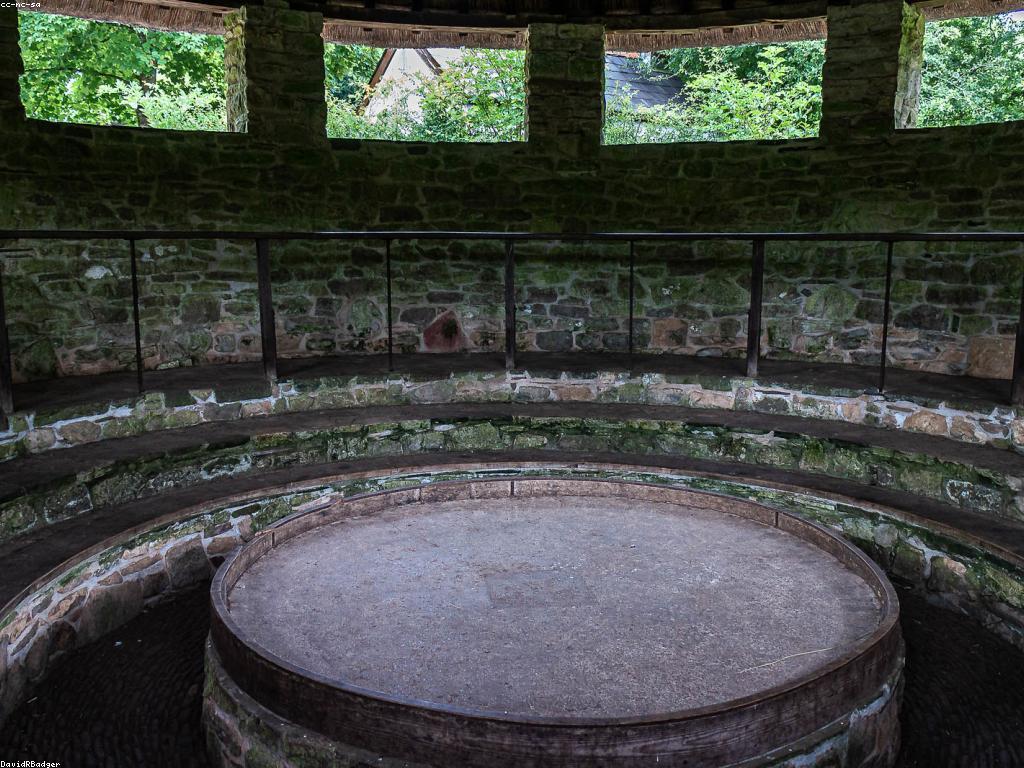 ការយល់ដឹងអំពីពិសោធន៍កាស៊ីណូ