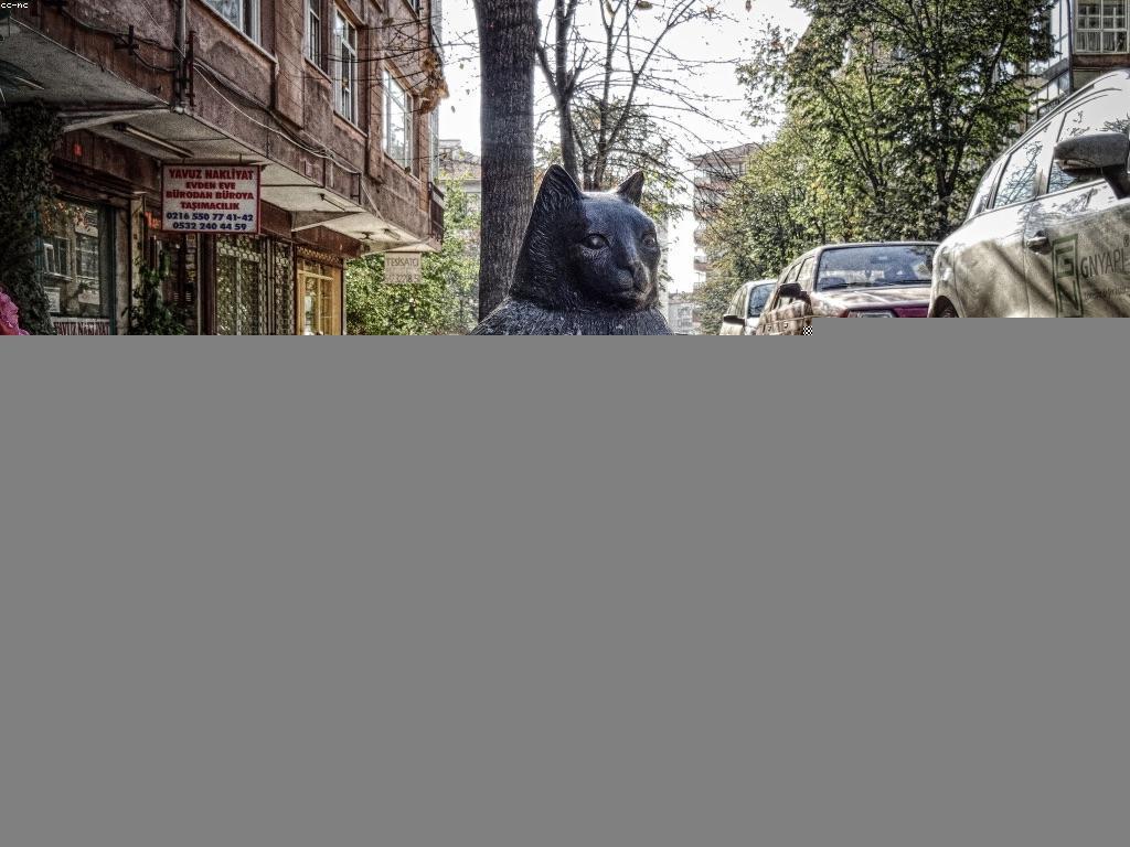 សារៈសំខាន់នៃព័ត៌មានថ្មីៗក្នុងសង្គមប្រទេពលិការ